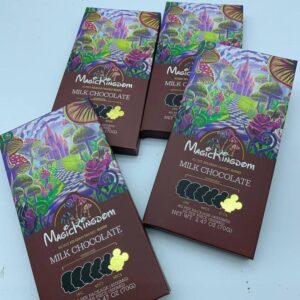 magic kingdom mushroom chocolate bar